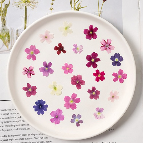 60Pcs Various Mini Dried Flowe - Beauty Makeup Bridal reseña y precio