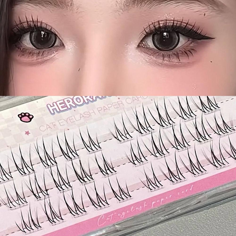Fake Lashes Natural Long-Lasti - Your Beauty Makeup reseña y precio